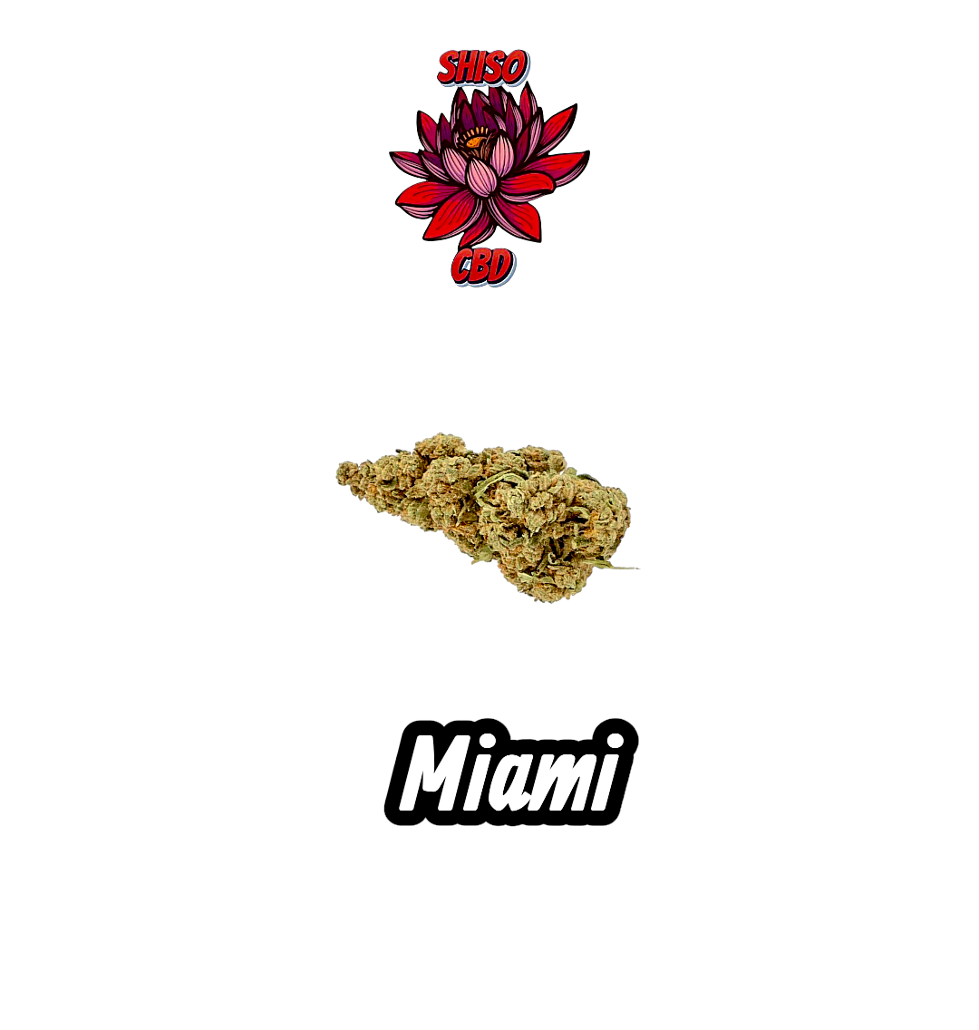 Miami CBD