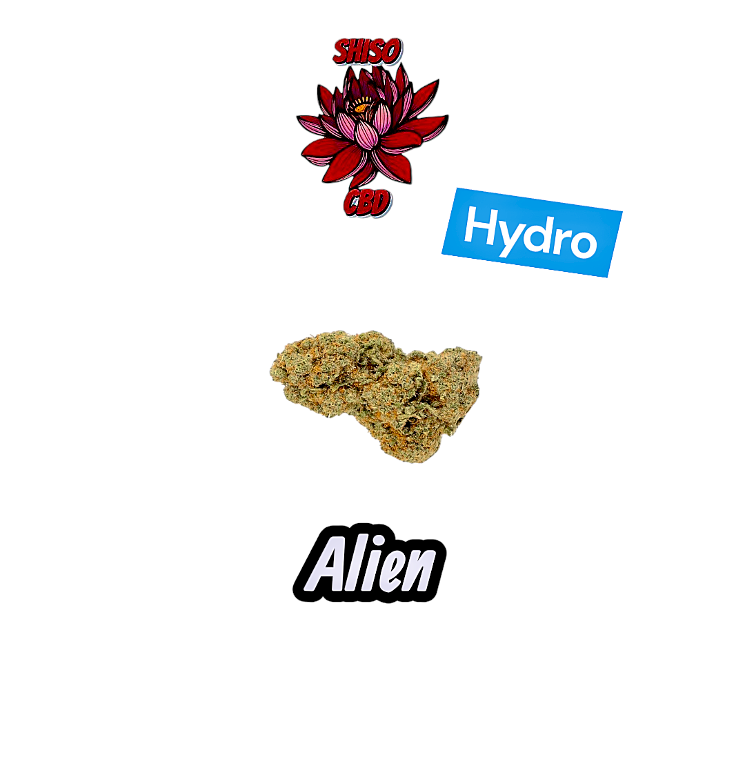 Alien CBD hydroponie