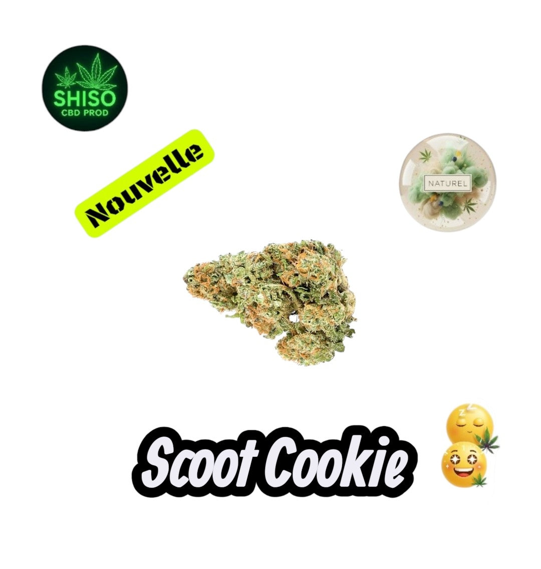 Scoot Cookie CBD