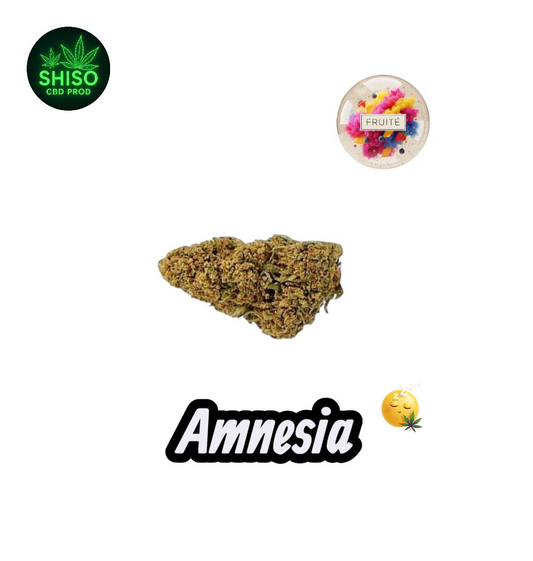 Amnesia CBD