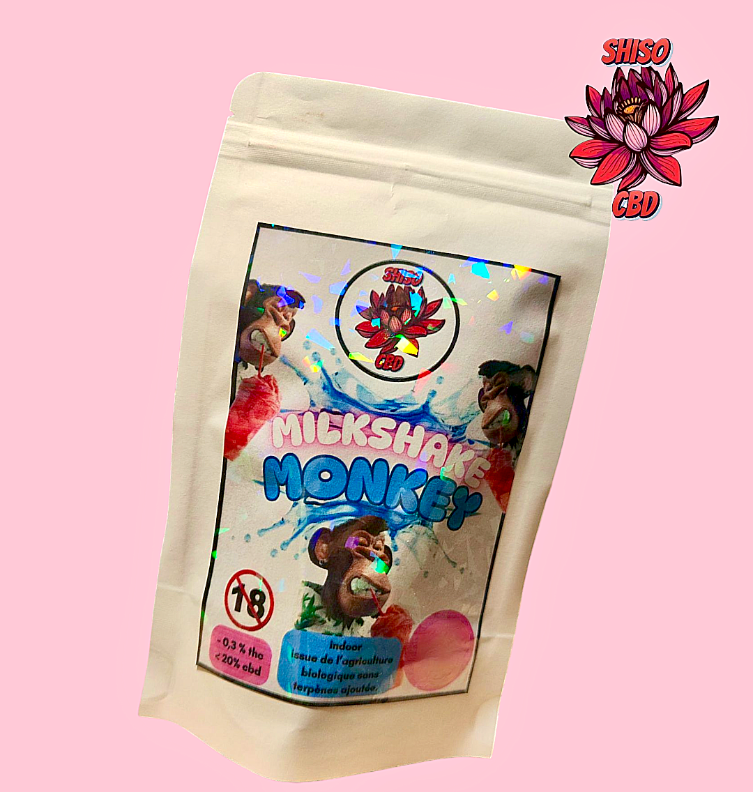 Milkshake Monkey CBD
