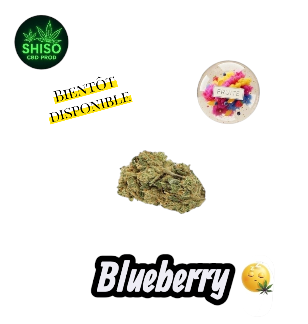 Blueberry CBD