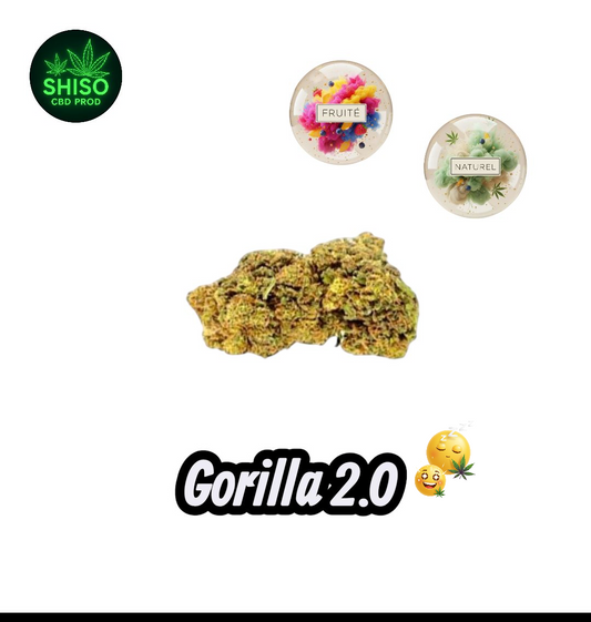 Gorilla 2.0 CBD