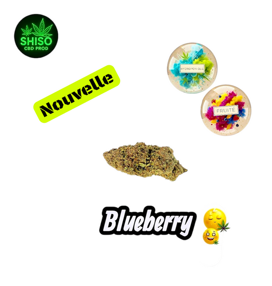 Blueberry Hydro CBD