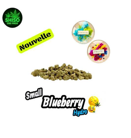 Small Blueberry Hydro CBD
