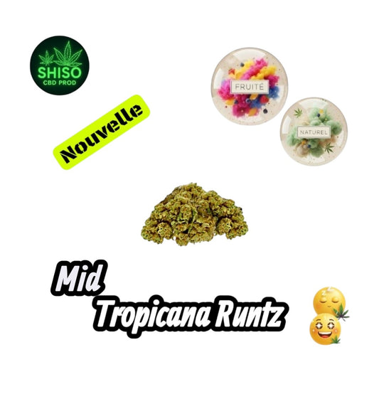 Mid Tropicana Runtz CBD