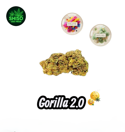 Gorilla 2.0 CBD
