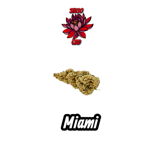 Miami CBD