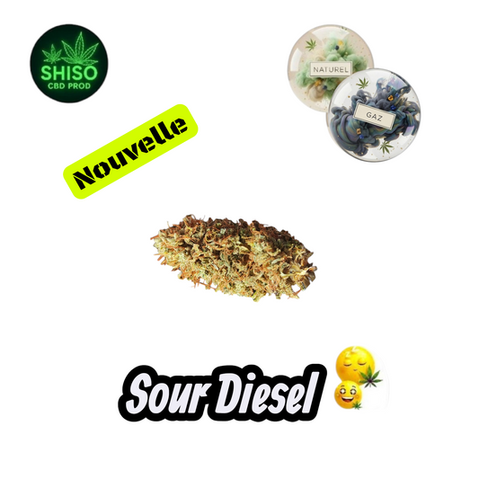 Sour Diesel CBD