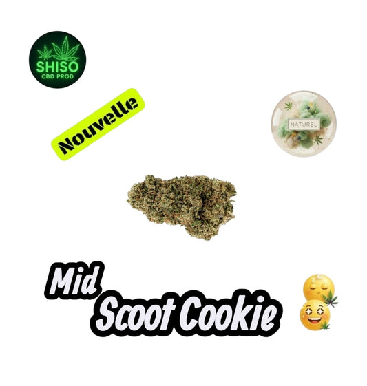 Mid Scoot Cookie CBD