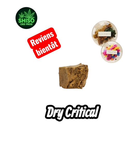 Dry Critical CBD
