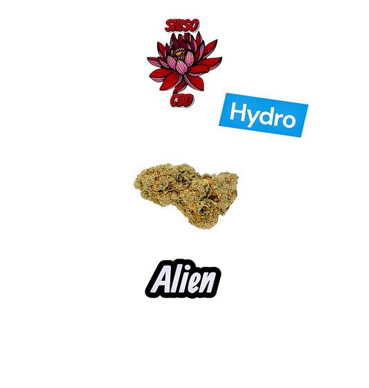 Alien CBD hydroponie