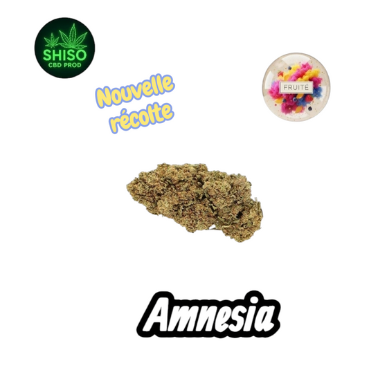 Amnesia CBD