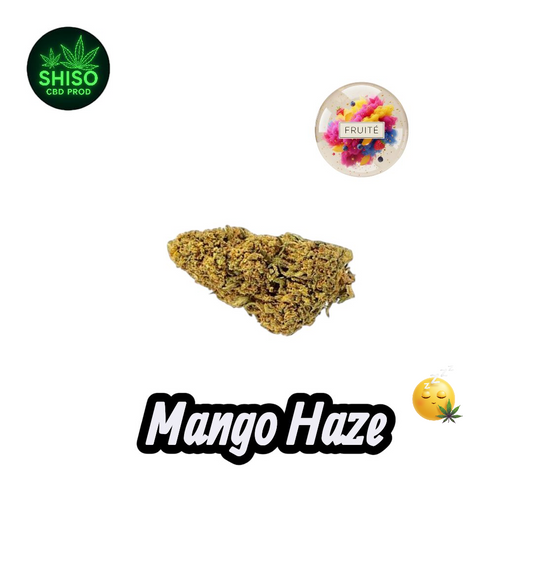Mango Haze CBD