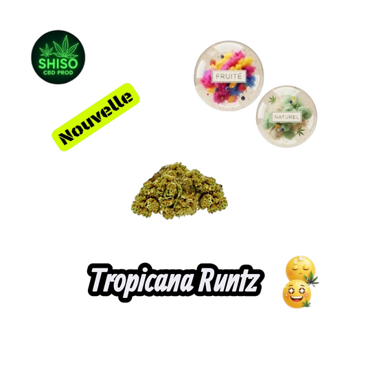 Tropicana Runtz CBD