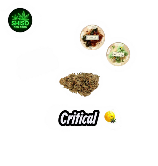 Critical CBD