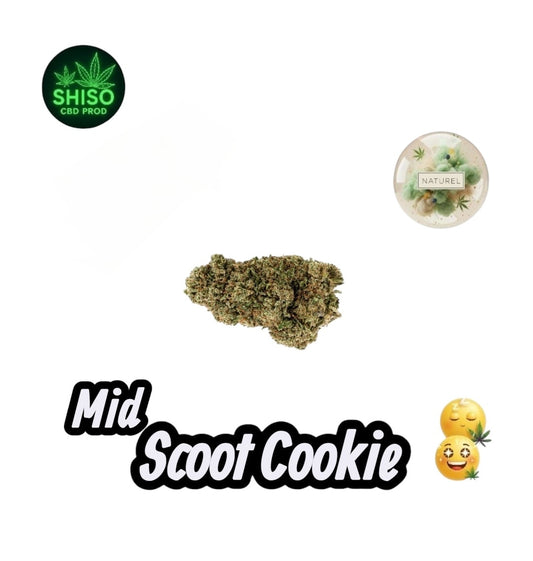 Mid Scoot Cookie CBD