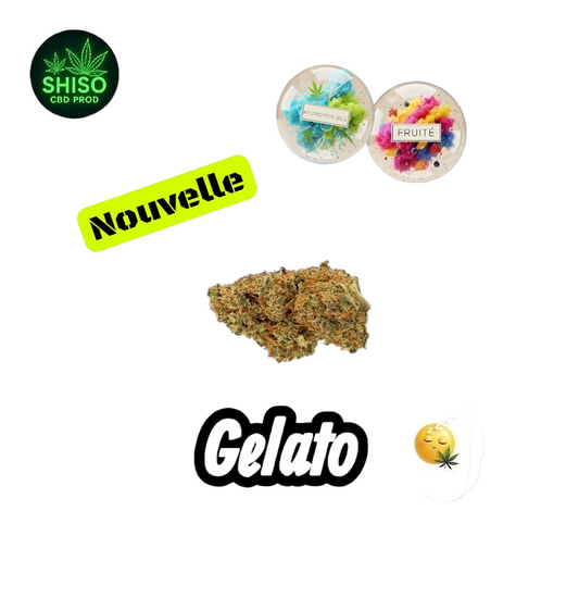 Gelato Hydro CBD
