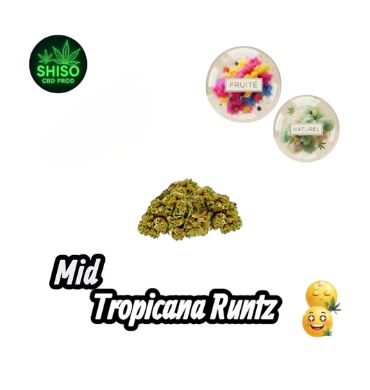 Mid Tropicana Runtz CBD