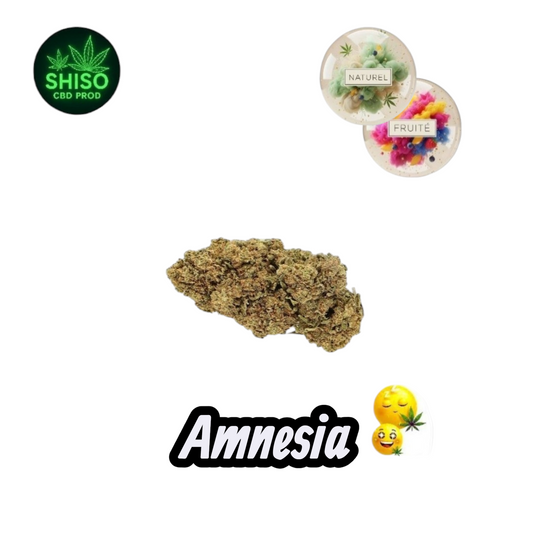 Amnesia CBD