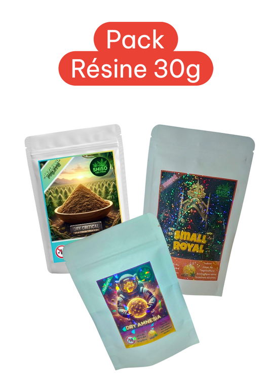 Pack Résine 30g