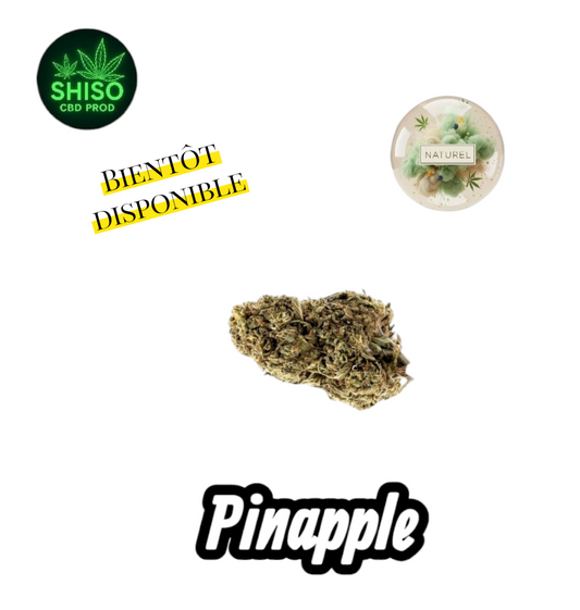 Pinapple CBD
