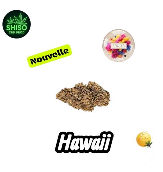 Hawaii CBD