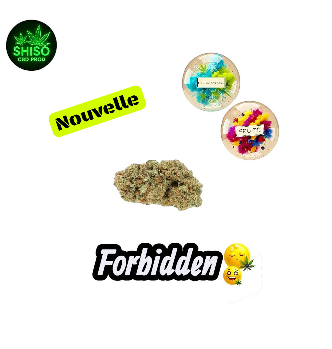 Forbidden CBD Hydroponie