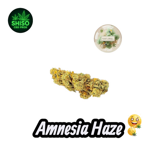 Amnesia Haze CBD