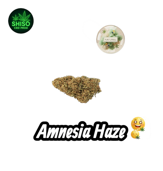 Amnesia Haze CBD
