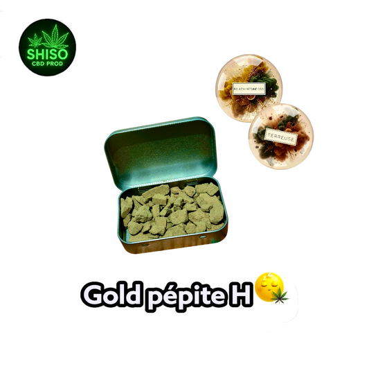 Gold pépite H CBD