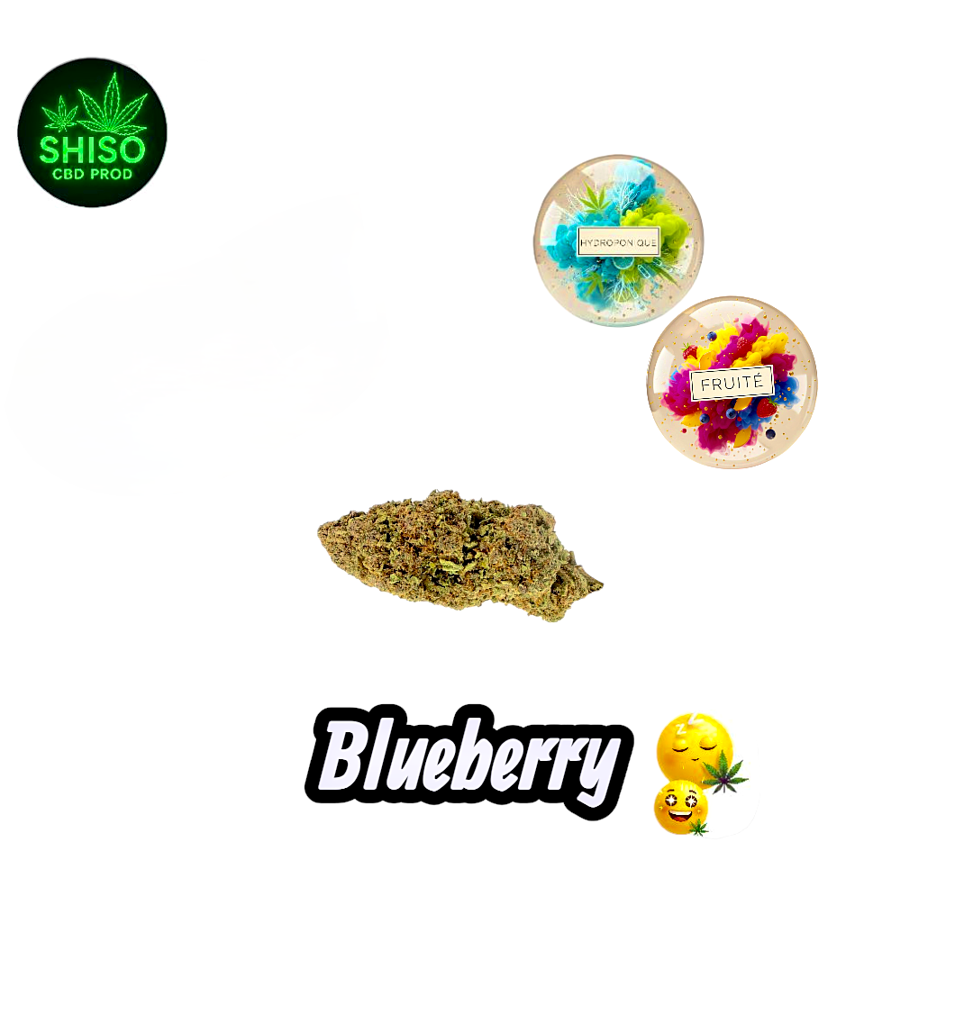 Blueberry Hydroponie CBD