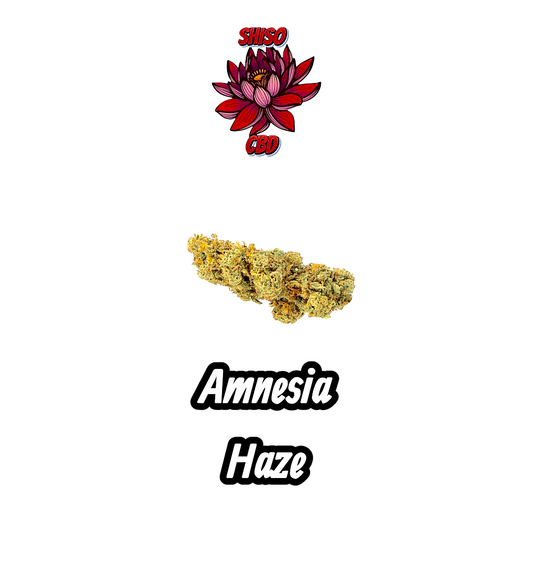 Amnesia Haze CBD