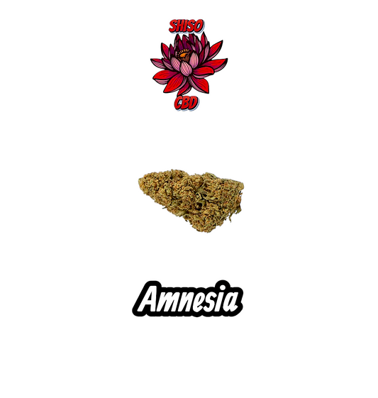 Amnesia CBD